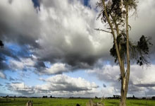 克罗地亚客场不敌斯洛文尼亚，小组形势堪忧